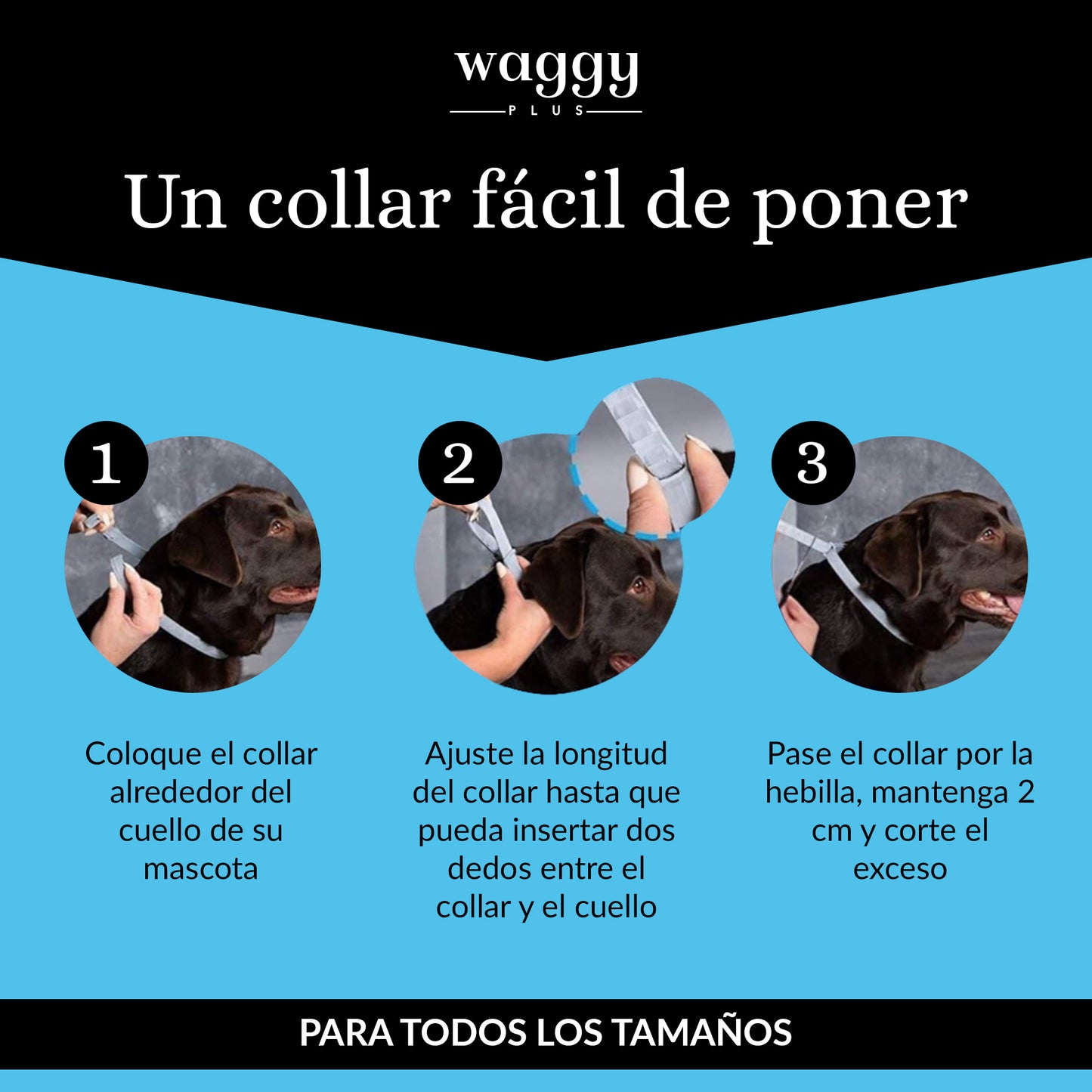 Collar Antiparasitario 100% Natural