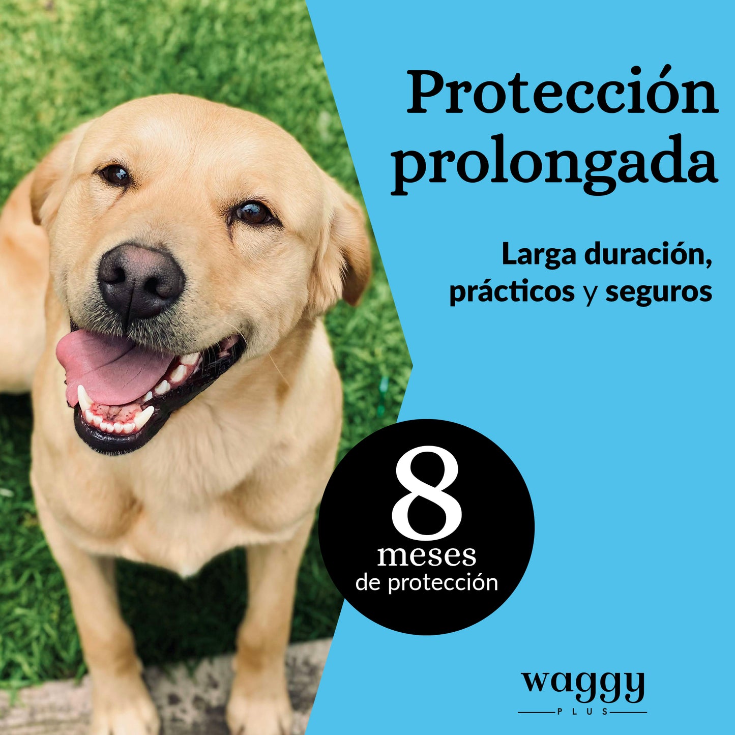 Collar Antiparasitario 100% Natural