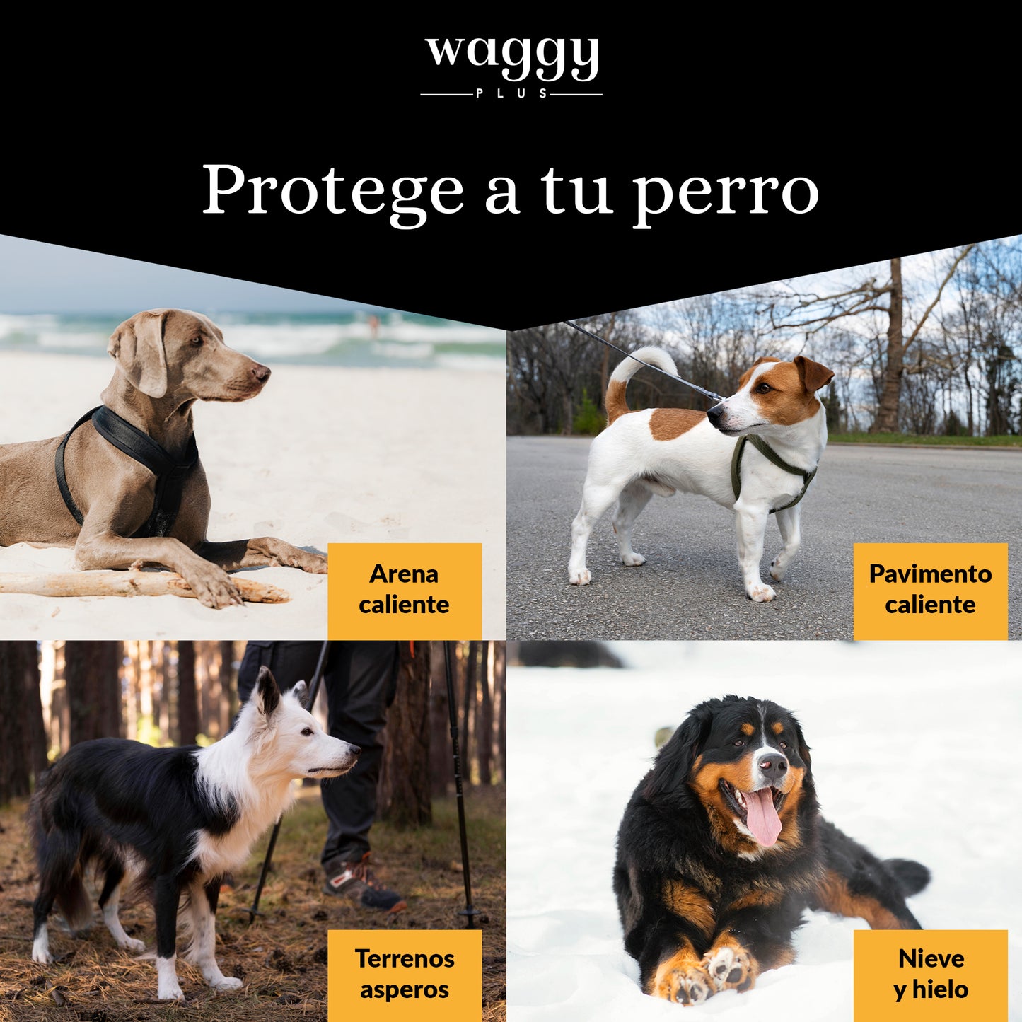 Bálsamo 100% natural Protector para Patas y Nariz